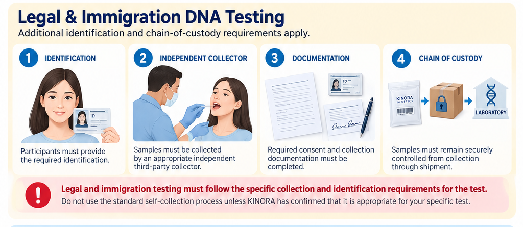 Legal and immigration DNA testing requirements: identification, independent collector, documentation, and chain of custody.