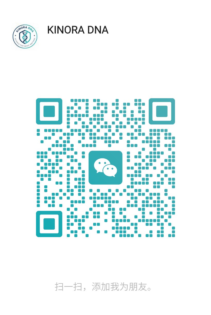 KINORA GENETICS WeChat customer service QR code